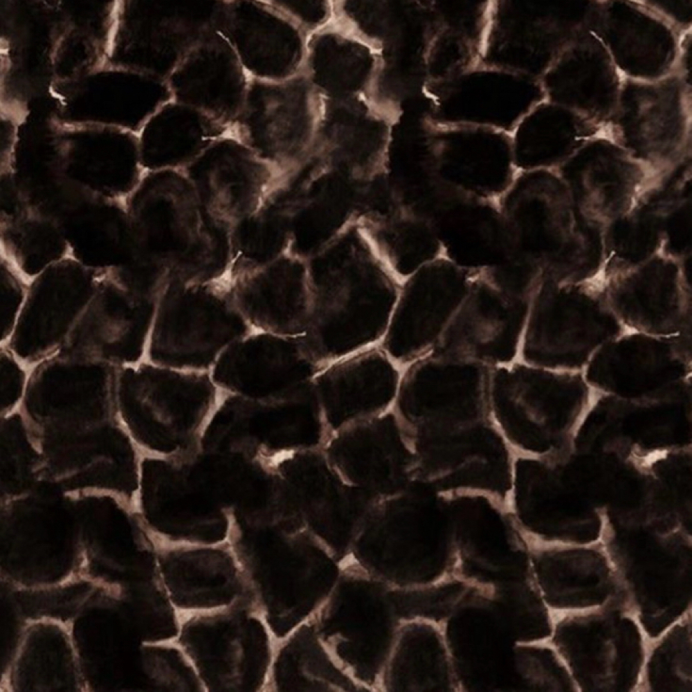 All Over Color at Taylor  Horton in Temecula, CA