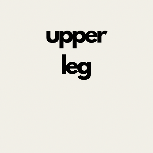 Upper Leg