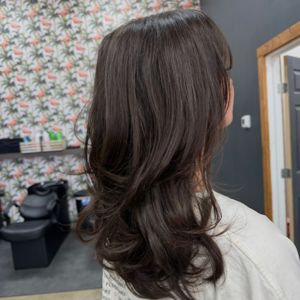Blowout at SG Stylez Hair Salon in Wills Point, TX