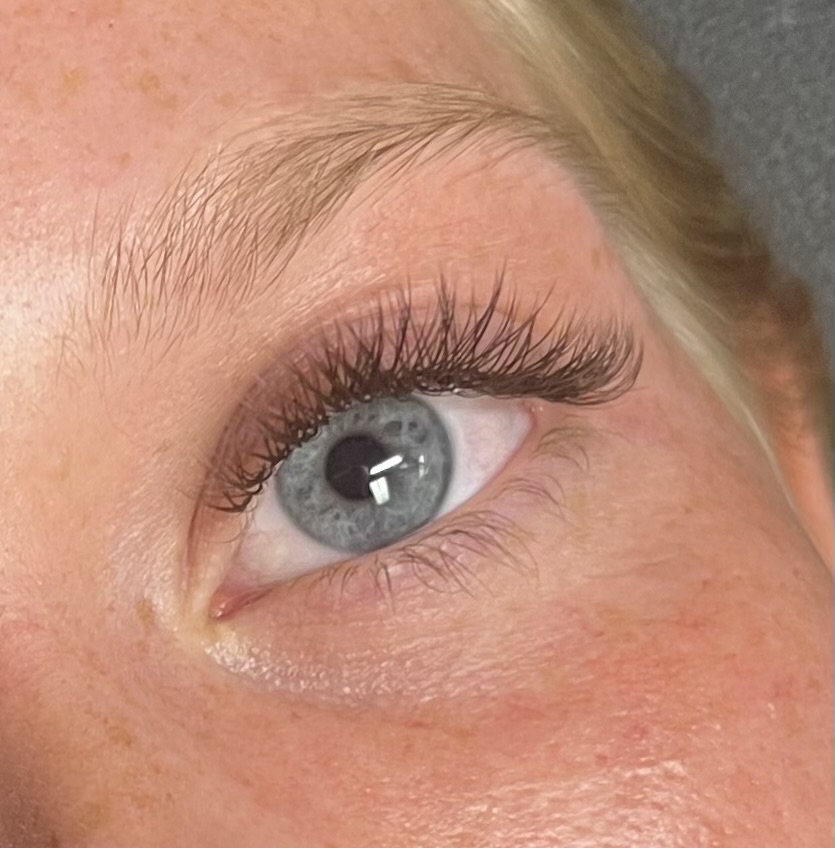 3 Week Brown Lash Fill