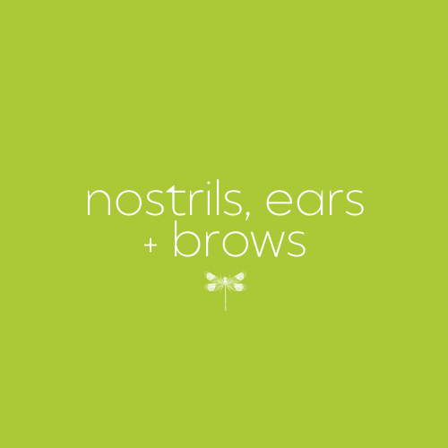Nostrils, Ears, and Brow Wax