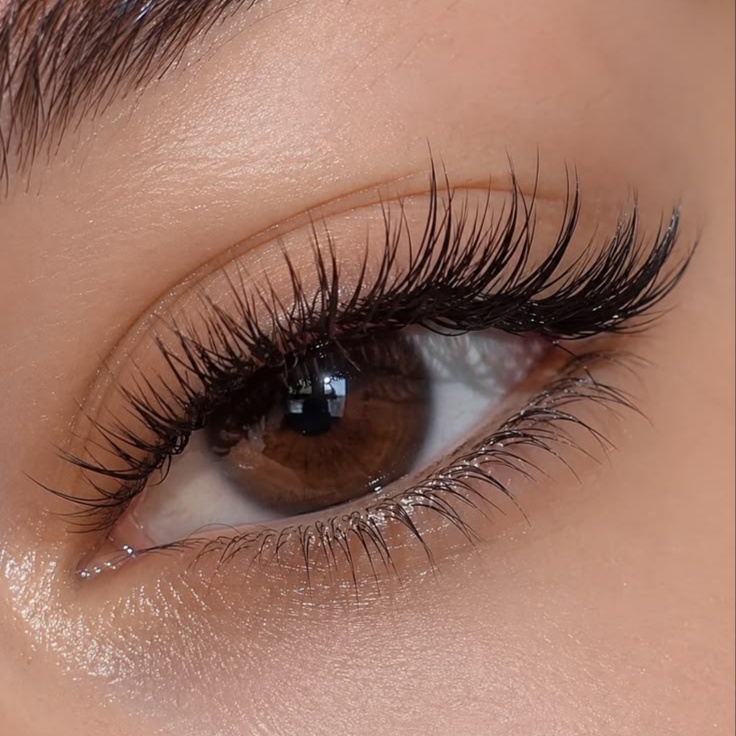 Hybrid Lashes at All in one beauti and Training studio in Brooklyn, NY