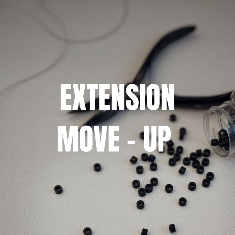 Extension Move - Up at Rae Dawn Hair in Bowling Green, KY