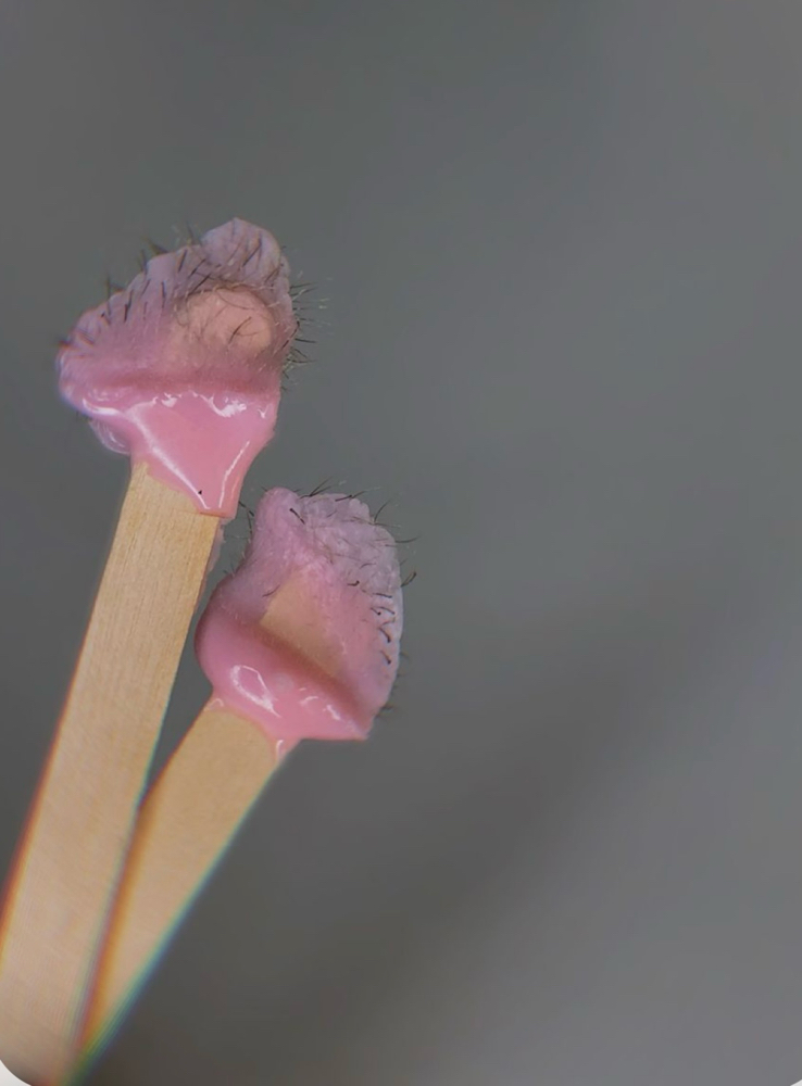 Nose Wax