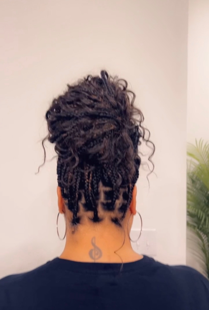 Bohemian Braids (Touch-Up)