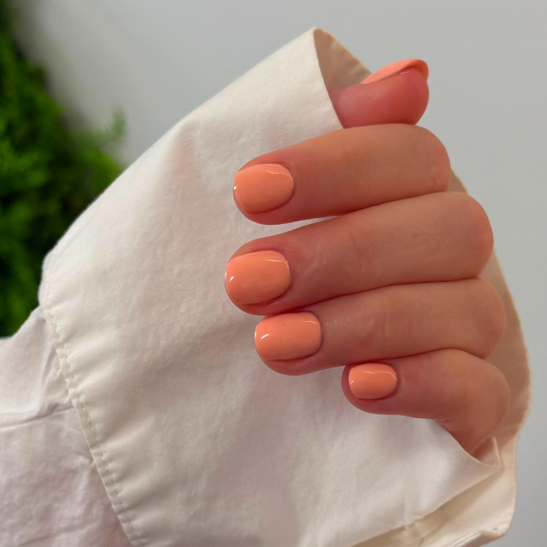 Russian manicure+hard gel at Beauty studio by NARGIZA NAILS in Indian Trail, NC