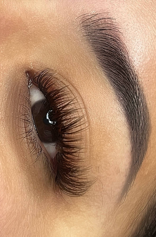 Brown Lashes