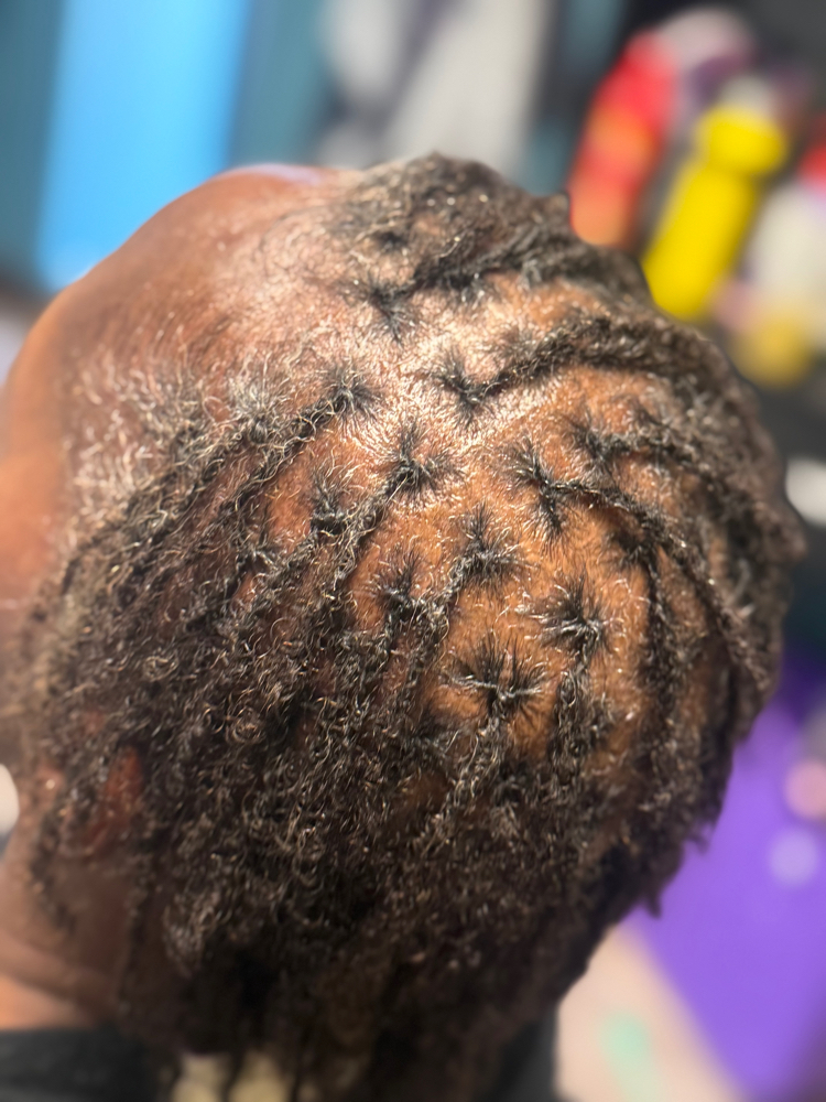 Starter Micro Locs at KDeeBeauty&Braids in Alamo, TN