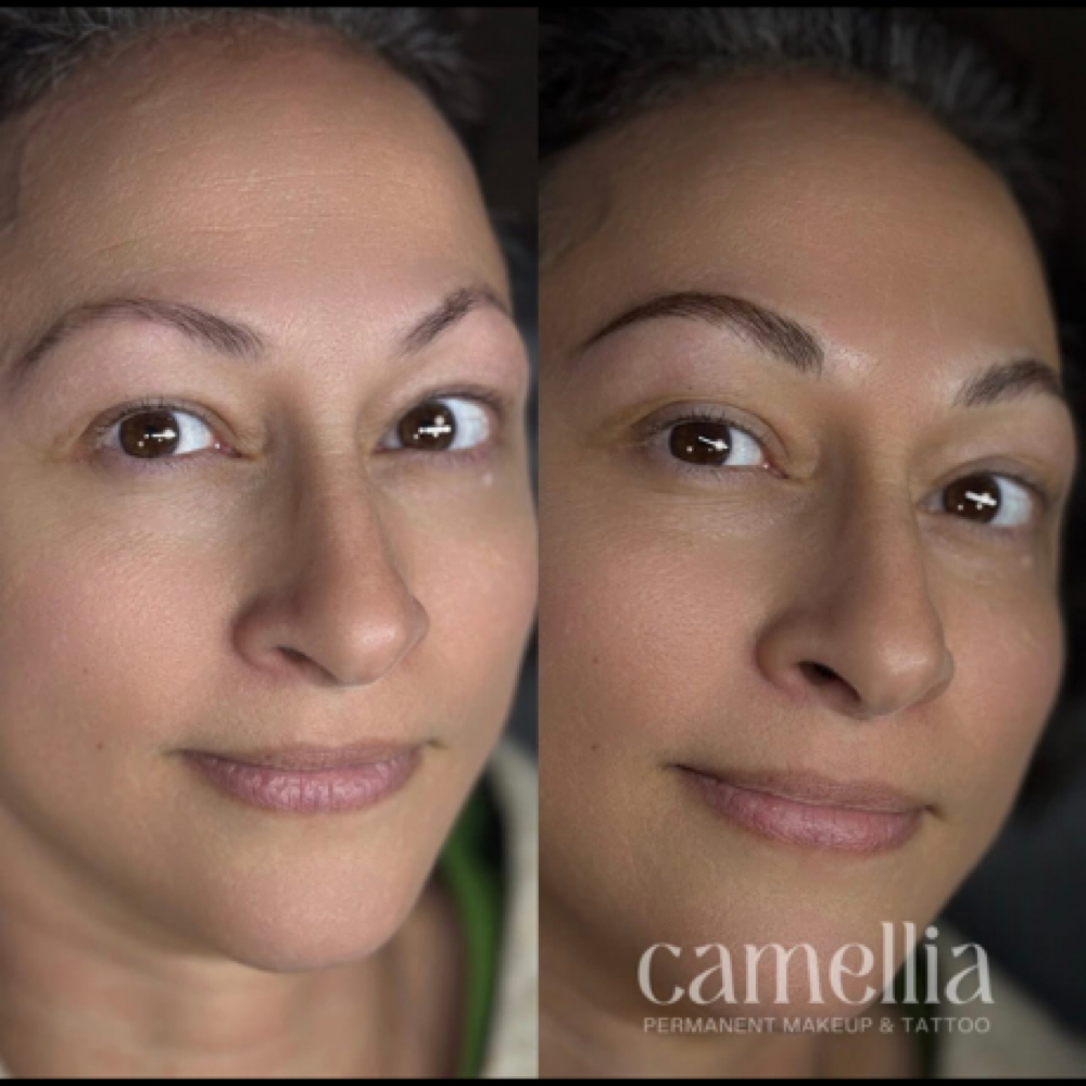 Pmu Brows Initial Session at Camellia Permanent Makeup in Nappanee, IN