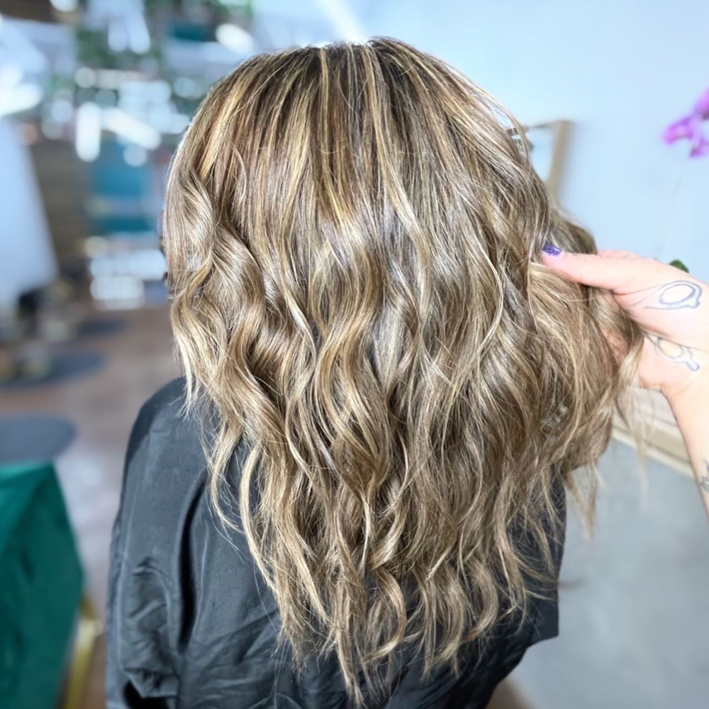 Highlights