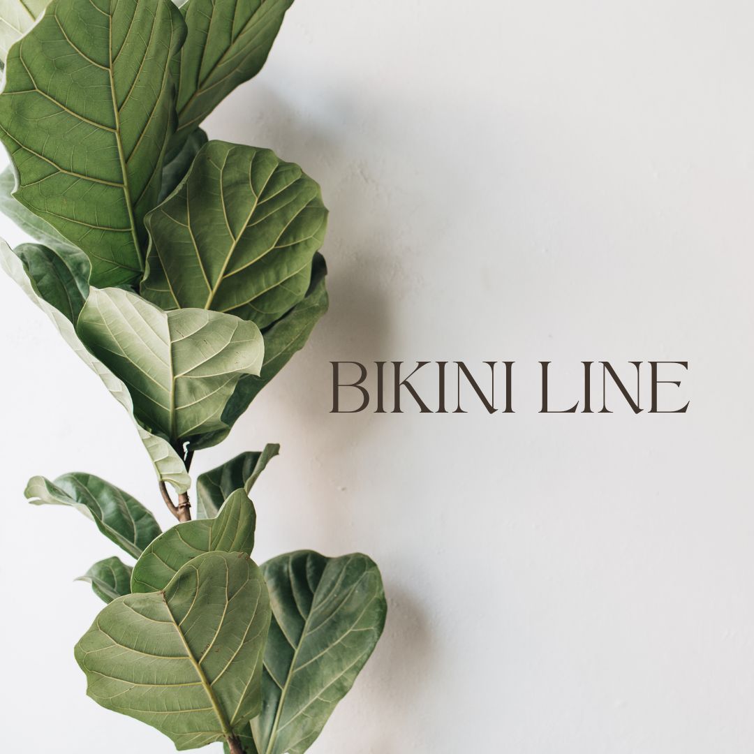 Bikini Wax (Bikini Line only) (V)