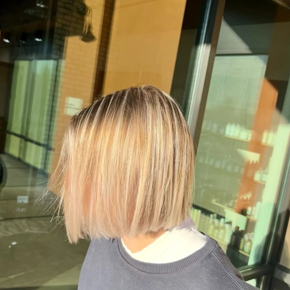 Partial Highlight & Women's Haircut at Lex Lavins Hair in Renton, WA