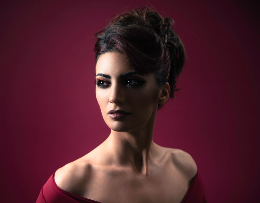 Special Occasion Updo