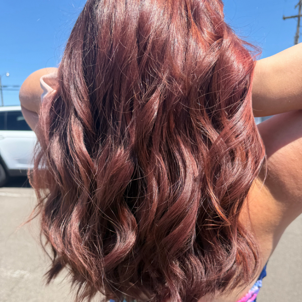 Shampoo, Cut and Style at The Eagles Nest Salon & Spa in Eagle Point, OR