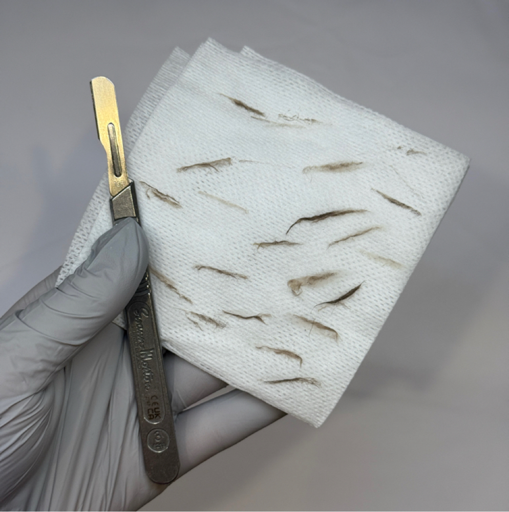 Express Dermaplaning Facial at Bliss Beauty Bar in Stone Ridge, NY