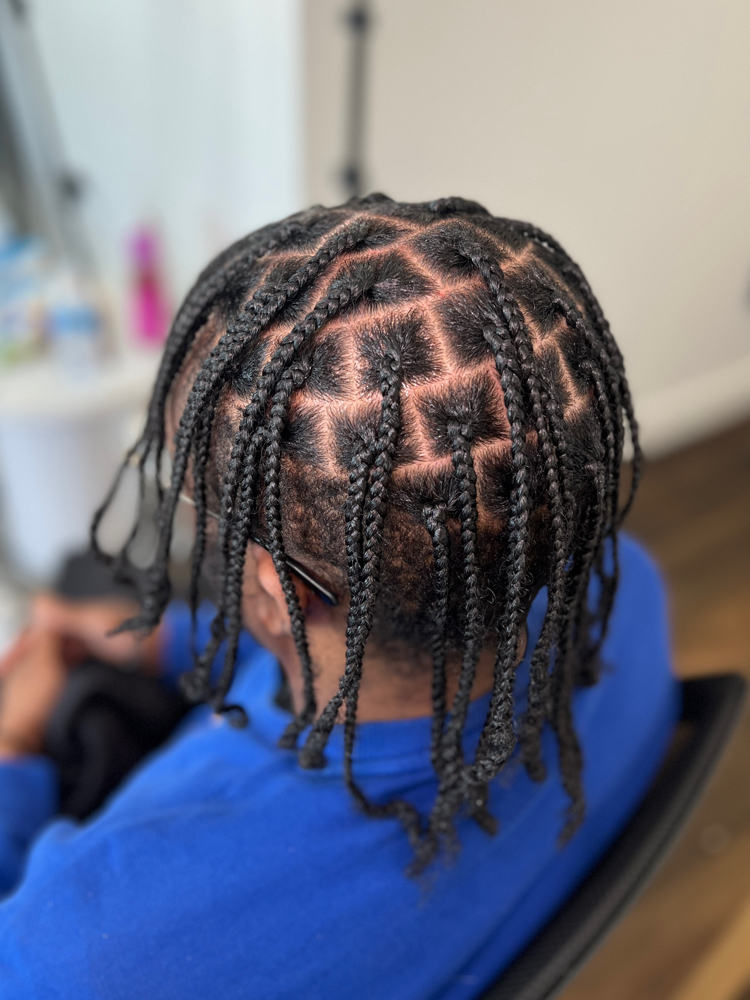 Plaits