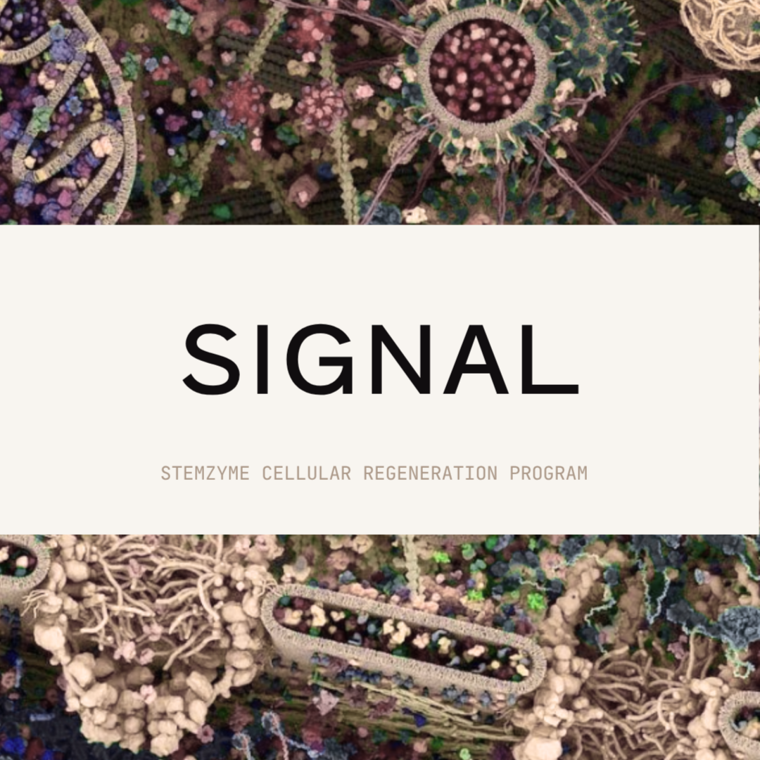 SIGNAL PROGRAM at DARÁ Restorative Skin & Scar Therapy in San Antonio, TX
