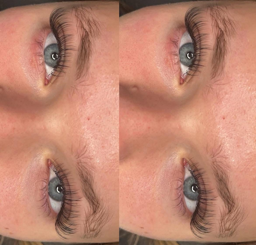 Classic Lashes