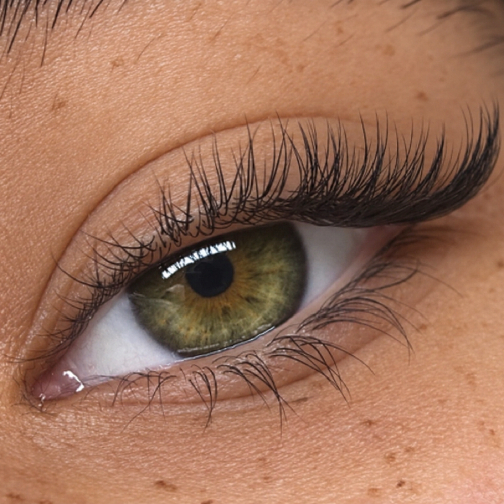 Partial Lash Set at Gingie Lashes & Brows in Buffalo Grove, IL