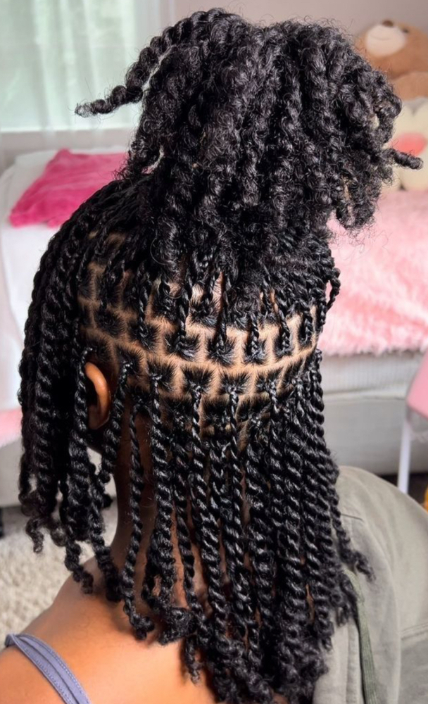 Mini Twist On Natural Hair at Melanin Beauty Bar LLC in Greenbelt, MD