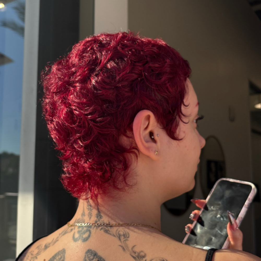 2 Hours at spookycrystals in Encino, CA