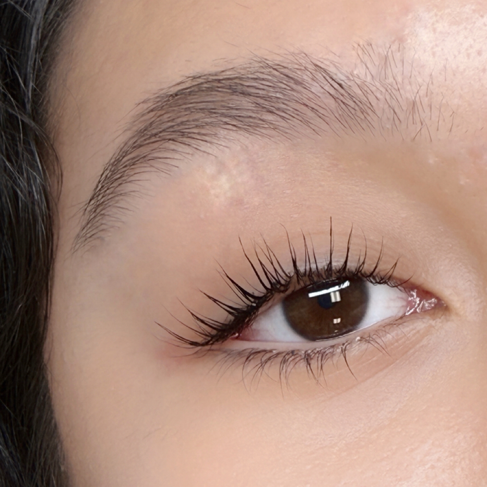 Lash Lift at SH Lash Beauty in Beverly Hills, CA