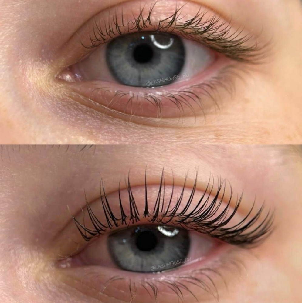 Lash Lift + Tint at Salt Skin Studio in Bentonville, AR