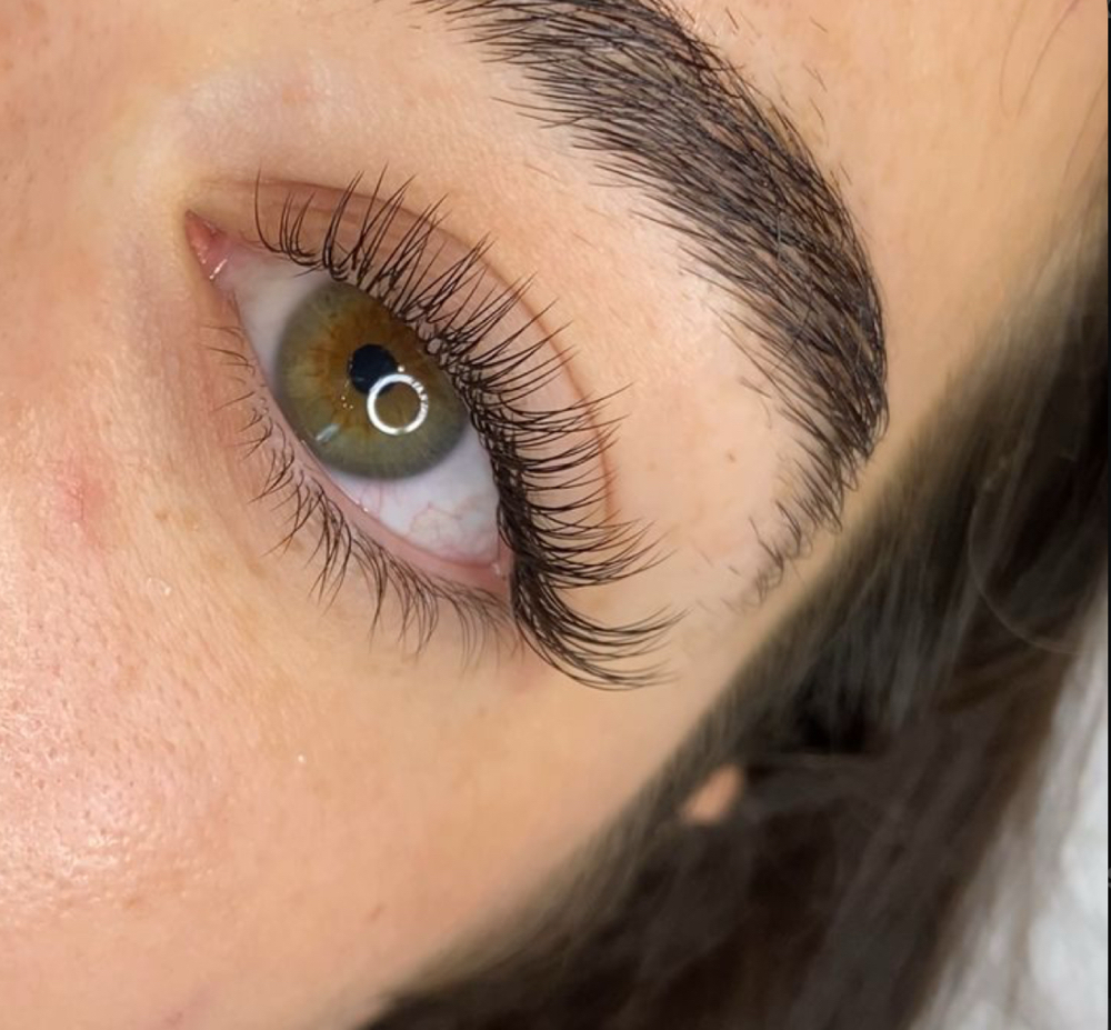 Classic Fill: 2 Week