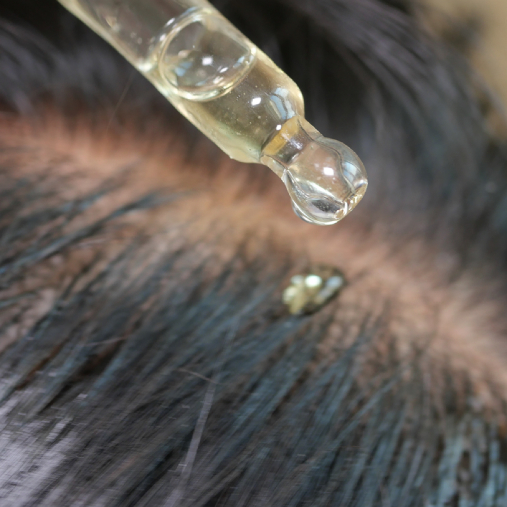 Hair Detox at Queen’s Touch Salon in Omaha, NE