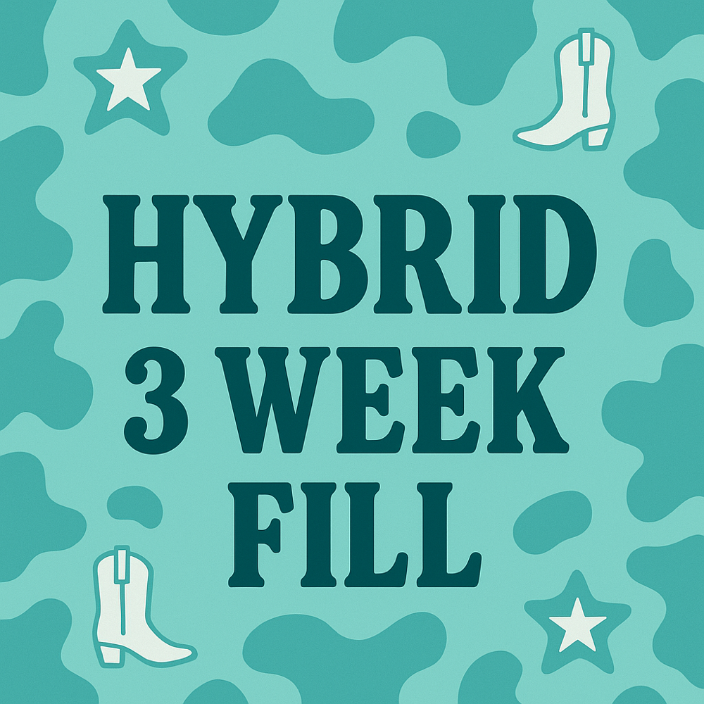 3 Week Fill - Hybrid Set at Blue Sky Beauty in Jacksonville, NC