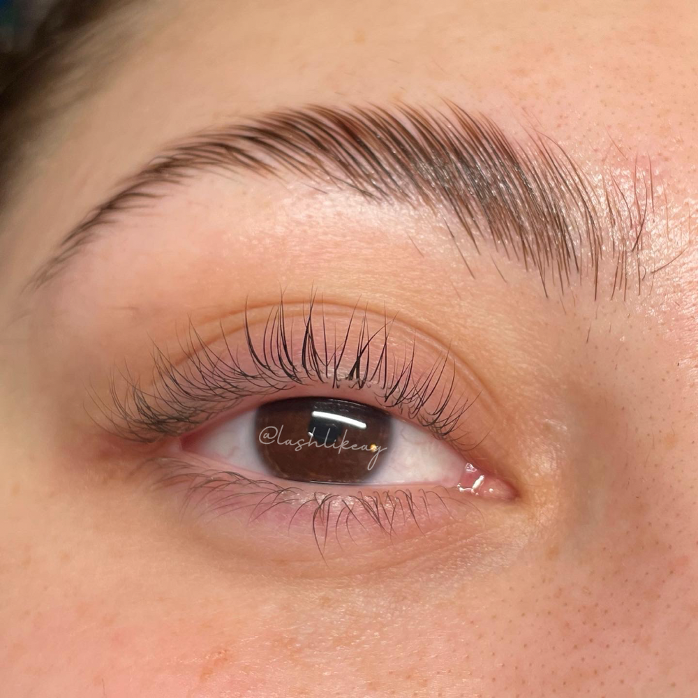 Eyebrow Lamination