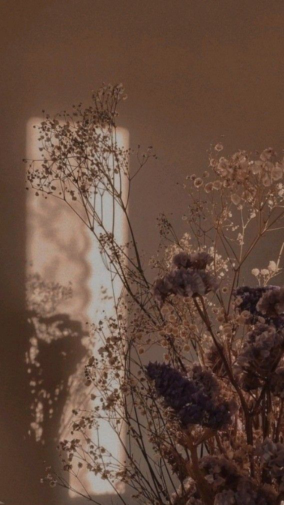 Full Highlight/Balayage