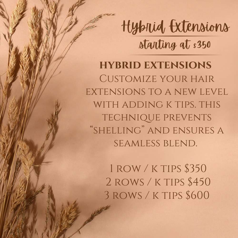 Hybrid Extension Install