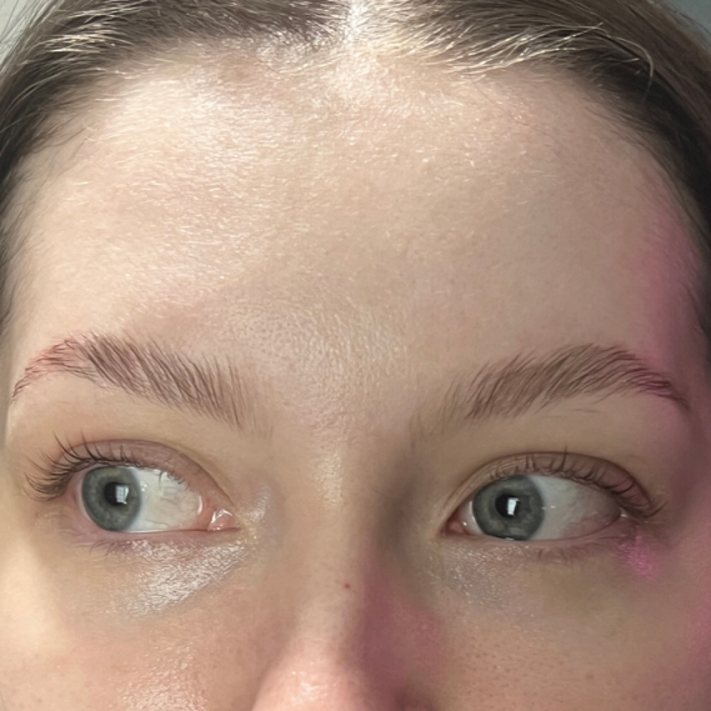 Brow Wax & Lamination at He Nani Esthetics in Winchester, CA