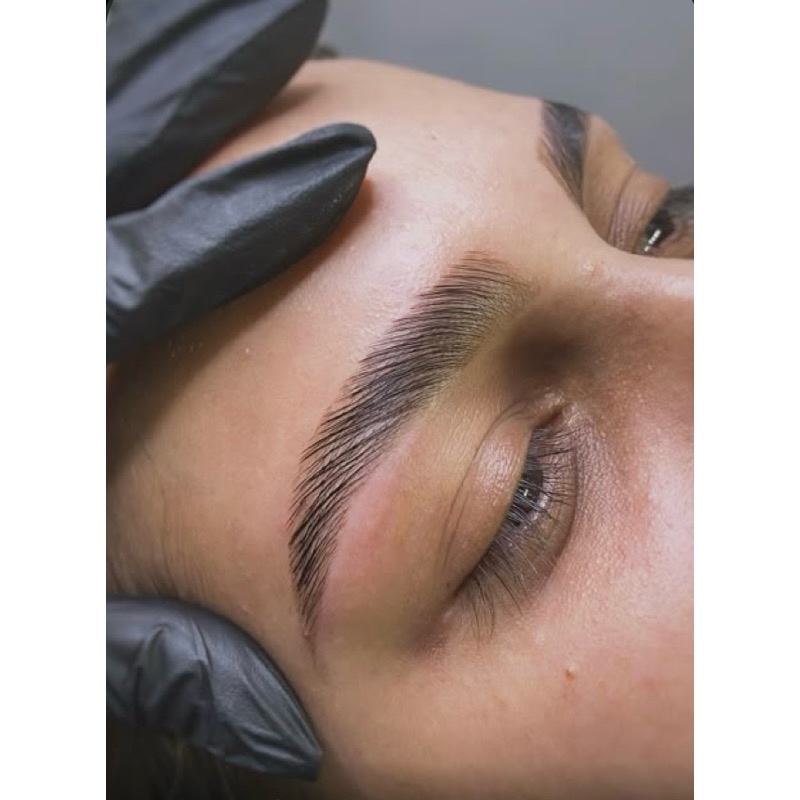 Luxe Brow Lamination and Tint at PureBeauty-Aesthetics in Colorado Springs, CO