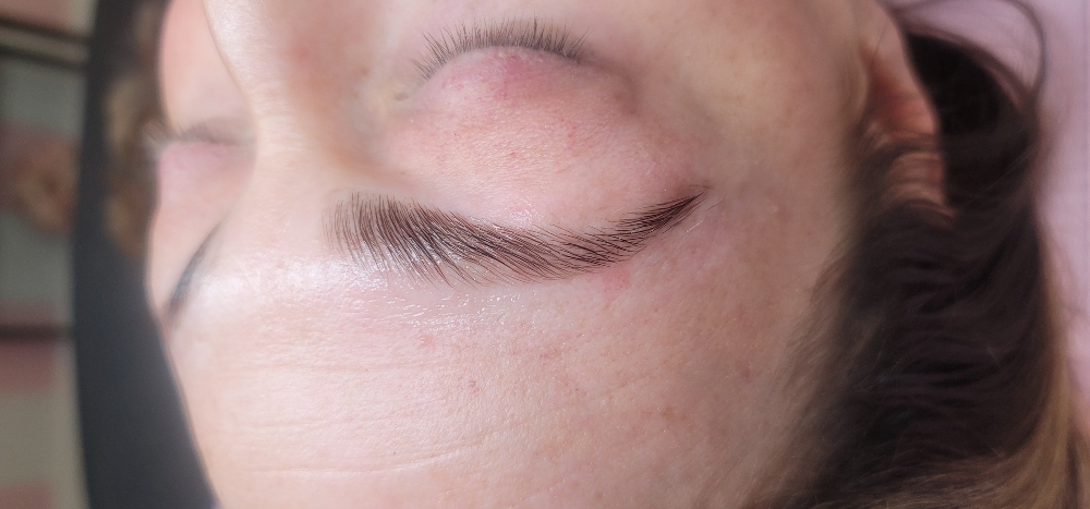 Brow Lamination Only
