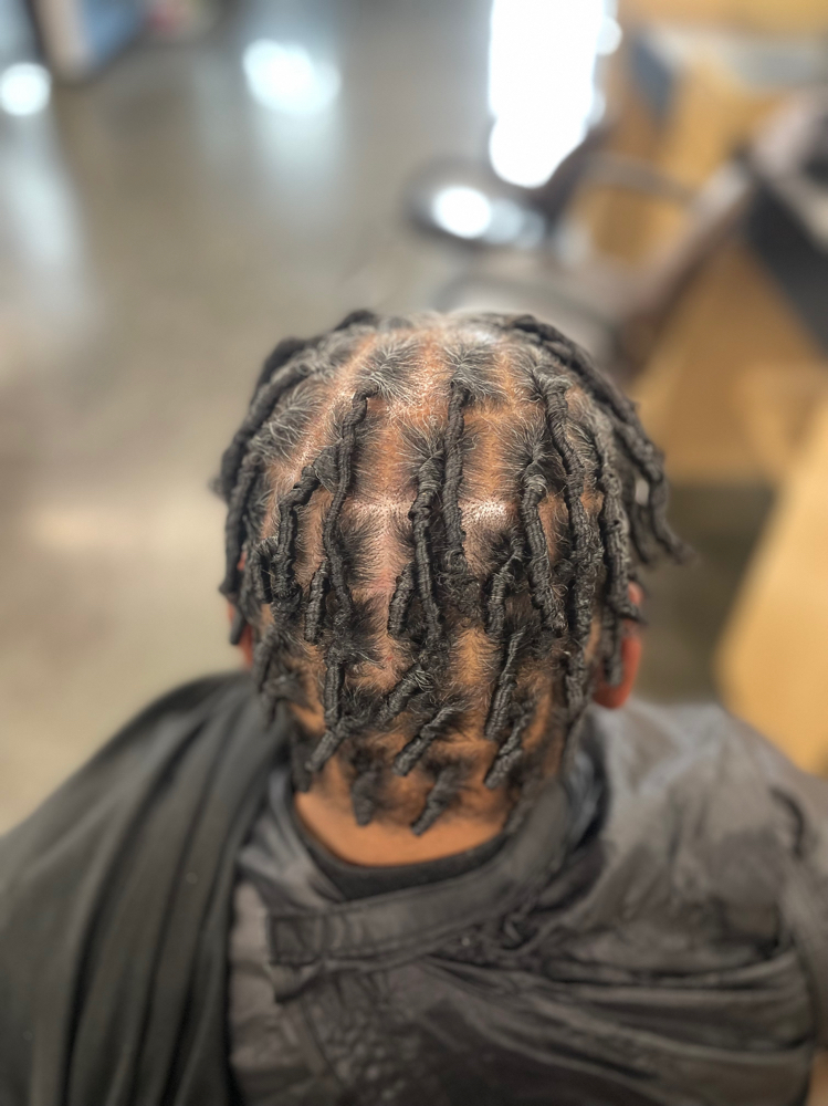 Shampoo + Retwist (SHORT)