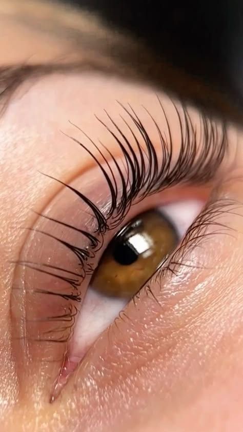 Lash Lift +Tint