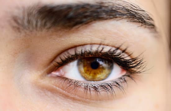 Eyelash Extension Partial Full Set