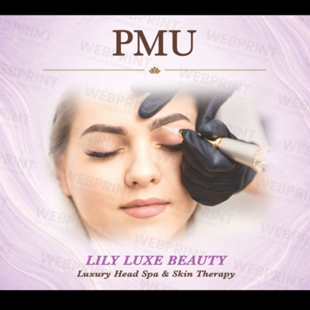 Ombre Powder Brow at Lily Luxe Beauty in Durham, NC