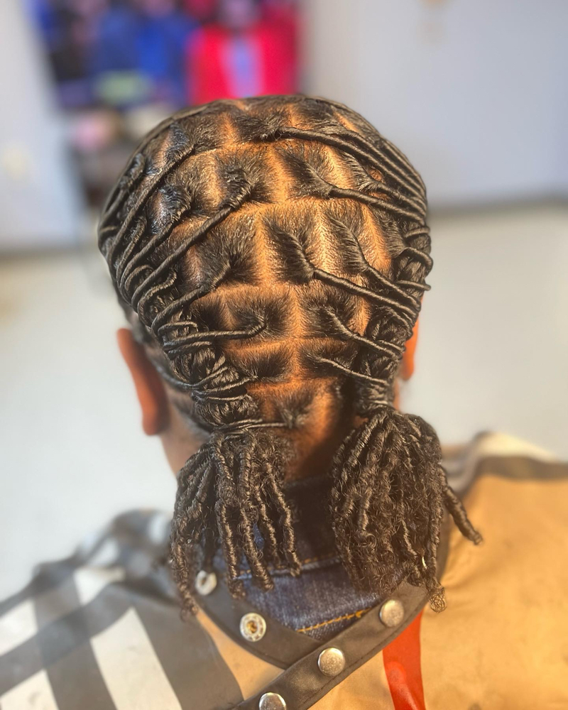 Starter Locs (medium)