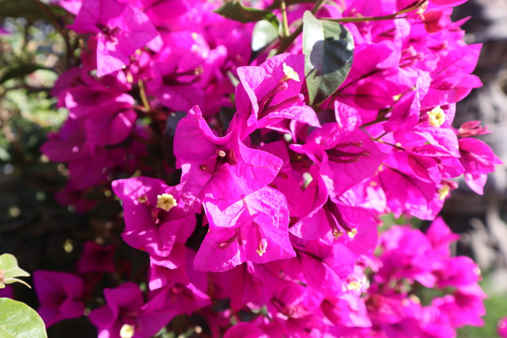 Holiday Sale🫶🏼