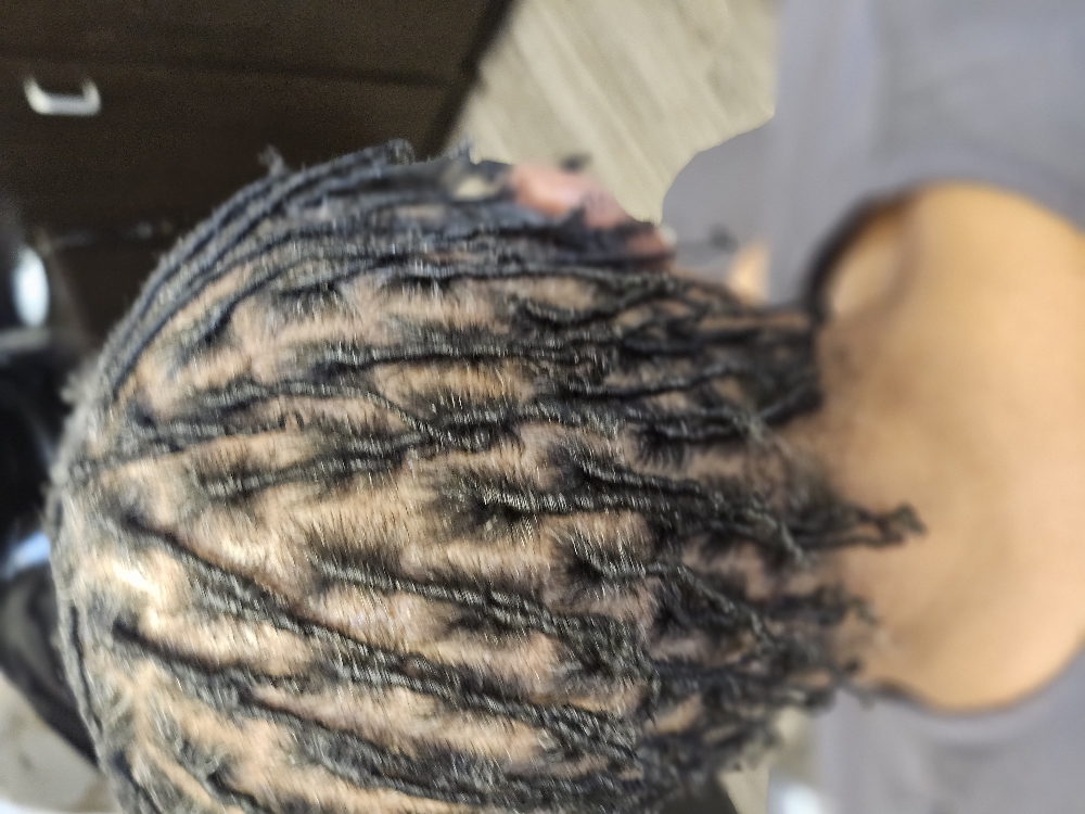 Starter Locs