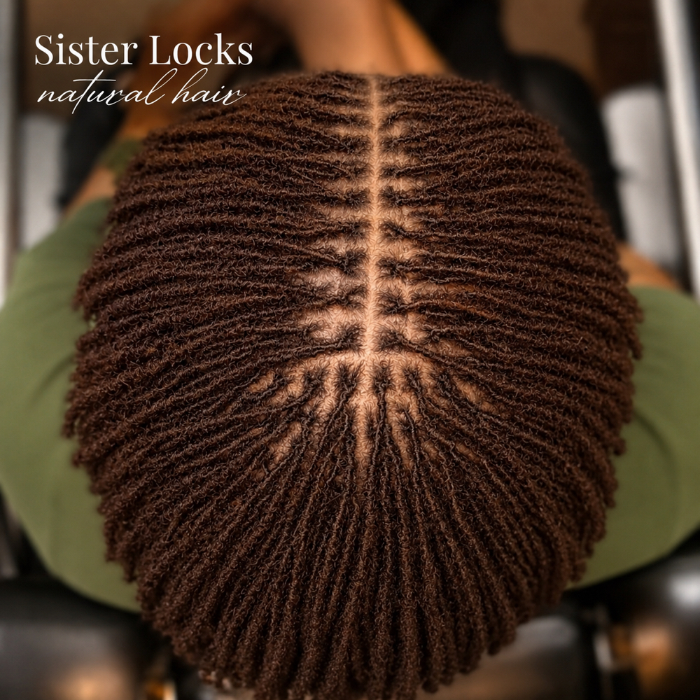 Sisterlocs Natural Hair 9-10 Inch at LISA DID IT BRAIDS & LOCS in Martinez, GA