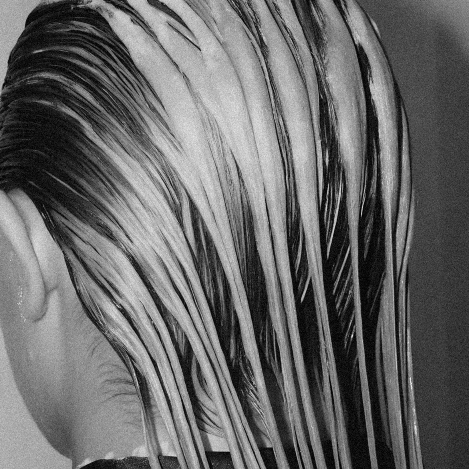 Toner at Fellini Salon in Los Gatos, CA