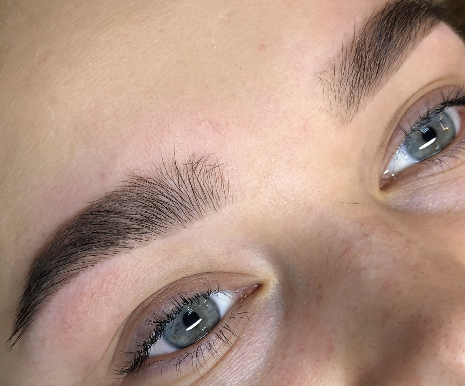 Brow tint + shaping (tweeze)