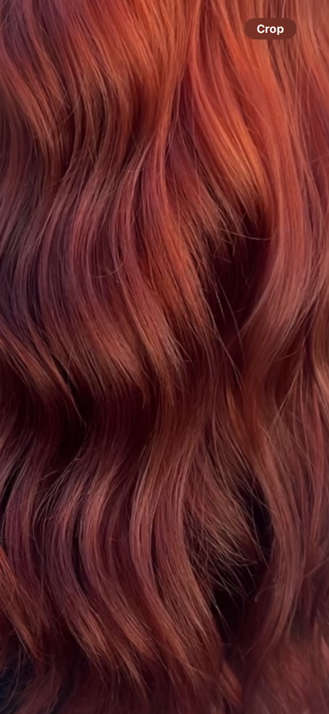 All Over Color + Haircut