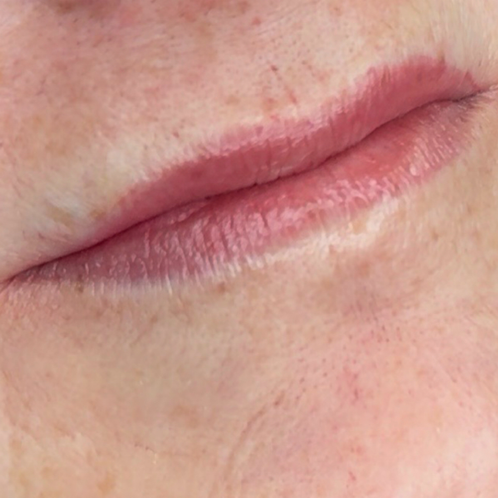 Lip Blush - Maintenance at Ink Theory Aesthetics in New Braunfels, TX