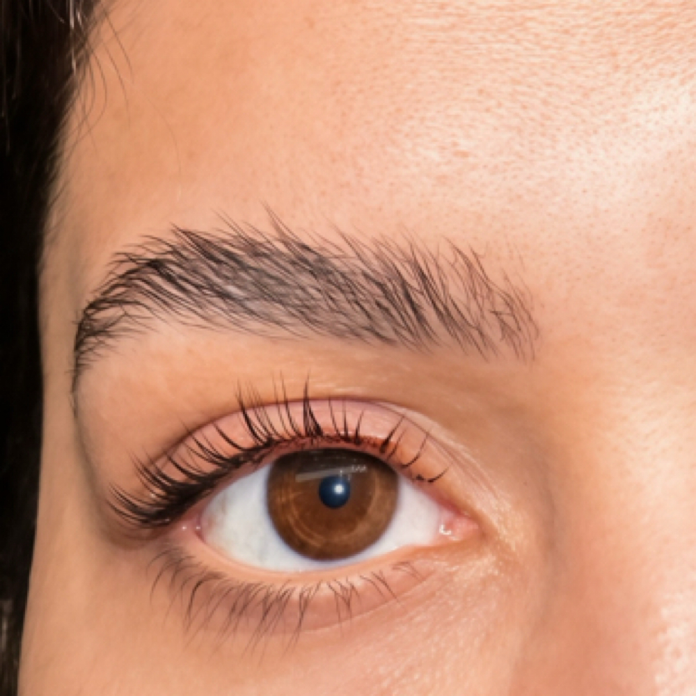 Korean Lash Lift at Eva Esthetics in Lowell AR, AR