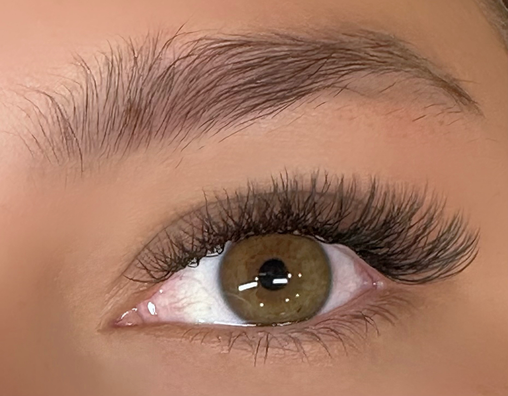 Hybrid at Lashes by Karlie in Mansfield, TX